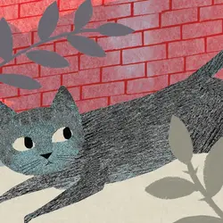 موش کوچولو و دیوار قرمز