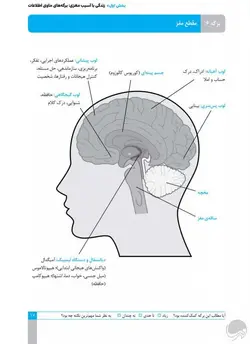کار و تمرین توانبخشی مغزی
