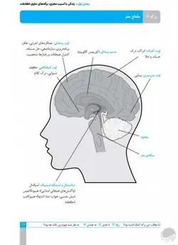 کار و تمرین توانبخشی مغزی