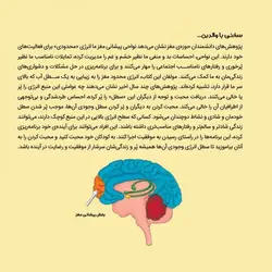 سطل مهربانی