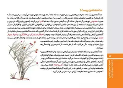 شیشه غول چراغ جادو یا اهریمن خفته