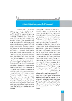 راهنمای درمان نگهدارنده با متادون در وابستگان به مواد افیونی