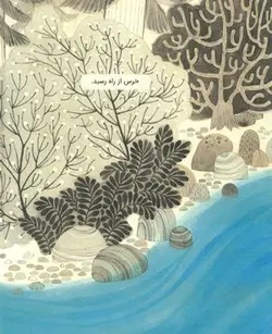 خرس از راه رسید