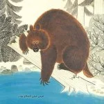 خرس از راه رسید