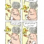 تخم مرغ یا تخم چشم؟