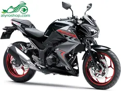 موتور سیکلت کاوازاکی  Z 250cc ABS