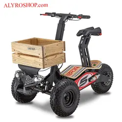 سه چرخه برقی تاشو MAD Truck