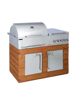 باربیکیو مدل AMINBBQ-SWRC-110