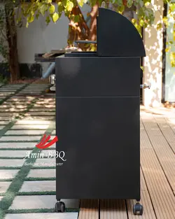 باربیکیو مشکی و ترموود AMINBBQ-BWRC-062