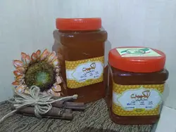 عسل بهاره ۴۰ گیاه انگپین