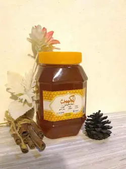 عسل گون آویشن انگپین