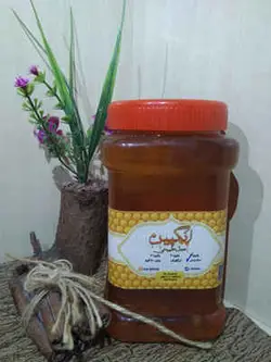 عسل مخصوص ۱۰۰ گیاه انگپین