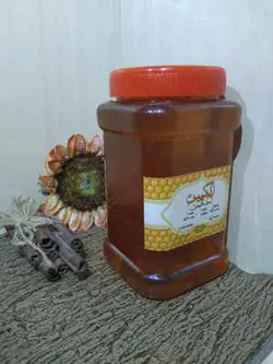 عسل مخصوص ۱۰۰ گیاه انگپین