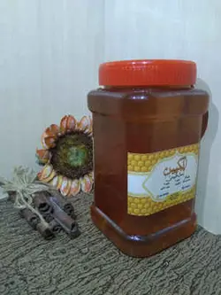 عسل مخصوص ۱۰۰ گیاه انگپین