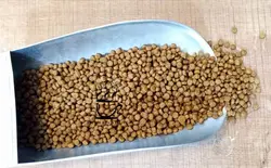 غذای خشک فیدار Fidar توله سگ نژاد کوچک 2 Kg (فله)