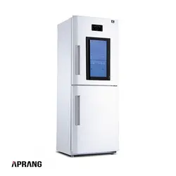 یخچال فریزر کمبی سیلور آیس مدل دنیز