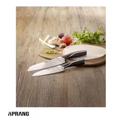 سرویس چاقوی آشپزخانه فیسلر مدل perfection santoku knife 14 cm