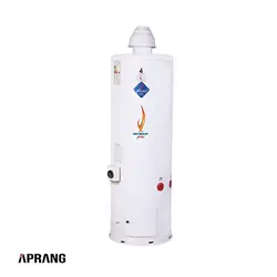 مشخصات، قیمت و خرید آبگرمکن گازی شرکت الکترو صنعت صاف مدل GP453 | فروشگاه آپرنگ