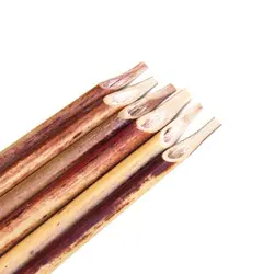 قلم نی خوشنویسی دزفولی