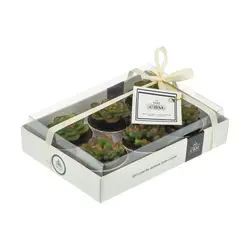 شمع 6 عددی CBM مدل کاکتوس