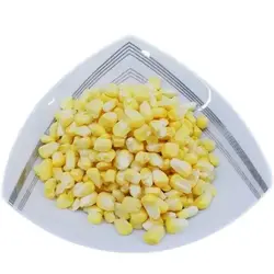 دانه ذرت مکزیکی