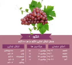 سرکه انگور خانگی