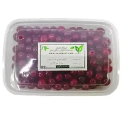 آلبالو بدون هسته منجمد