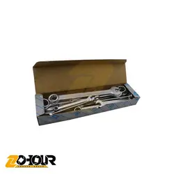 مجموعه 12 عددی آچار یکسر تخت یکسر رینگی آتا مدل ATA BX1200