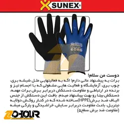 دستکش ایمنی سانکس مدل بیتا (کد H1701) Sunex