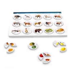 بازی آموزشی هوش چین سه تکه