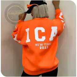 بلور دورس غواصی شیکاگو