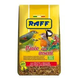 خوراک غنی شده با تخم حشرات و میوه ویژه مرغ مینا و پرندگان آواز خوان Raff