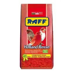 خوراک نرم تخم مرغی و عسلی هلند روسو Raff