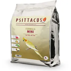 خوراک روزانه طوطی های کوچک Psittacus