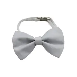 پاپیون گردنی سگ و گربه برند لونا