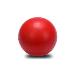 توپ اسفنجی مخصوص سگ پت بال