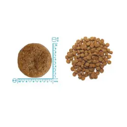 غذا خشک مخصوص توله سگ نژاد بزرگ 3 کیلویی Fox