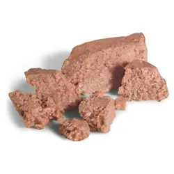 پوچ مخصوص سگ نژاد یورکشایر تریر بالغ 85 گرمی رویال کنین