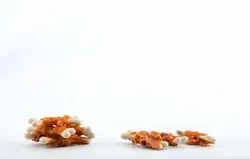 تشویقی سگ استخوان کلسیم دار همراه با دورپیچ مرغ  Pet- intrest وزن ۱۰۰گرم