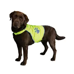 جلیقه شبرنگ سگ مدیوم تریکسی