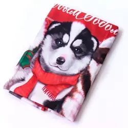 حوله مناسب سگ و گربه کَندی