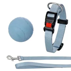 توپ رنگین کمان سگ و گربه