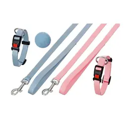 توپ رنگین کمان سگ و گربه