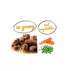 سوپ مخصوص سگ بالغ حاوی گوشت گاو  و سبزیجات 100gr