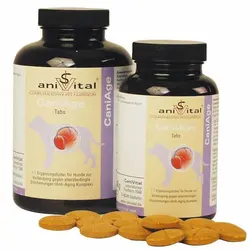 قرص مخصوص سگهای مسن آنیویتال 120tabs