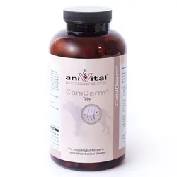 قرص هاي  مخصوص پوست و مو سگ کني درم آنيويتال120 tabs