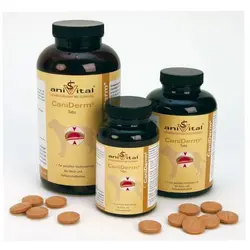 قرص هاي  مخصوص پوست و مو سگ کني درم آنيويتال120 tabs