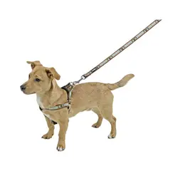 قلاده تنی سگ مدل wildlife برند کربل