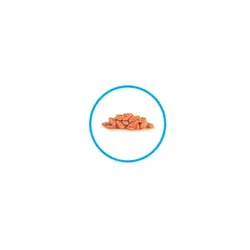 پوچ گربه بالغ رژیمی جهت کاهش وزن رویال کنین