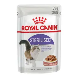 پوچ گربه بالغ عقیم شده رویال کنین